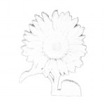 Ηλιολούλουδο πλαστικό λευκό